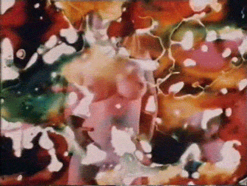 Bunny on Betty film